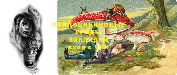мяу мяу мука Горно-Алтайск