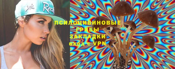 метадон Горняк