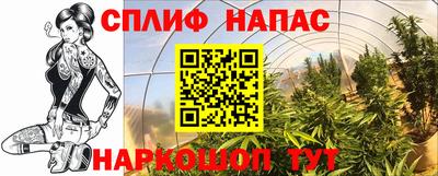 сатива Заволжье