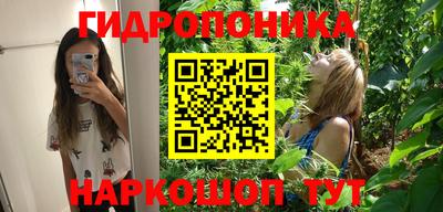 сатива Заволжье
